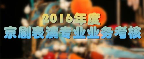 8090操逼网国家京剧院2016年度京剧表演专业业务考...